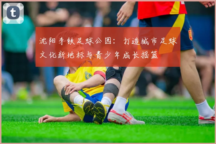 沈阳李铁足球公园：打造城市足球文化新地标与青少年成长摇篮