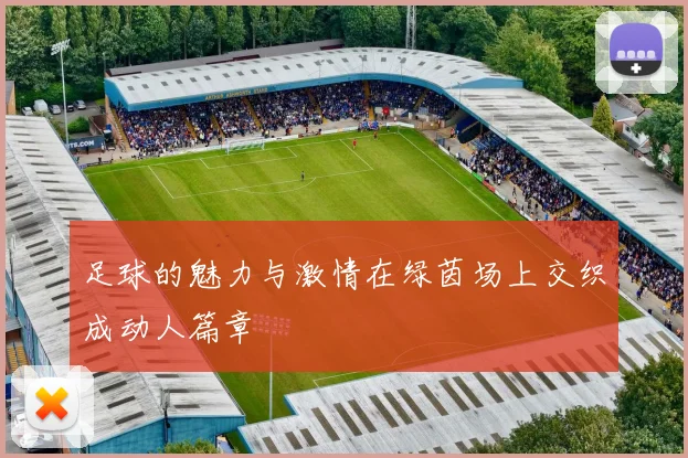 足球的魅力与激情在绿茵场上交织成动人篇章