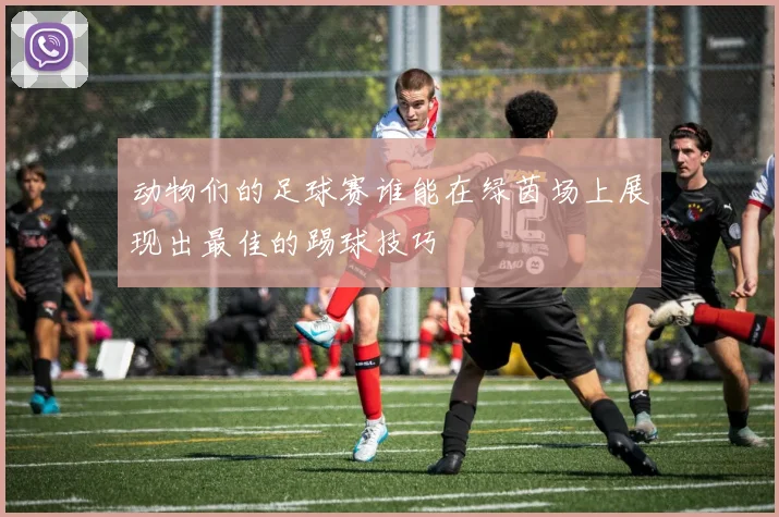 动物们的足球赛谁能在绿茵场上展现出最佳的踢球技巧