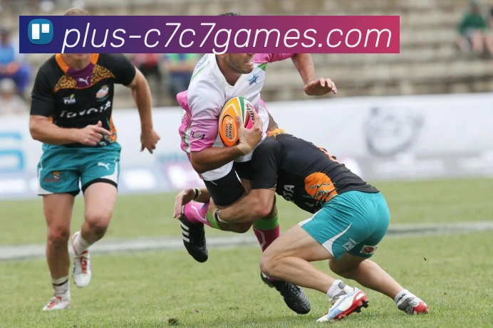 c7娱乐服务体系